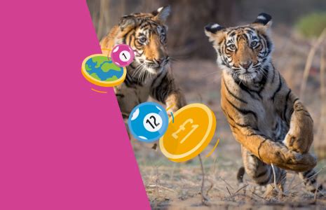 wwf weekly lottery|wildlife lottery.